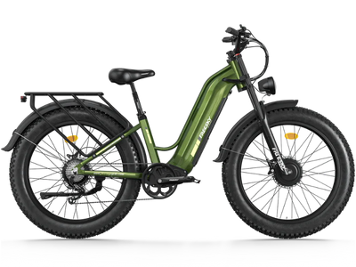 FREESKY Ranger M-540 Dual-Motor Step-Thru Electric Bike (48V 25Ah, 3500W Peak)