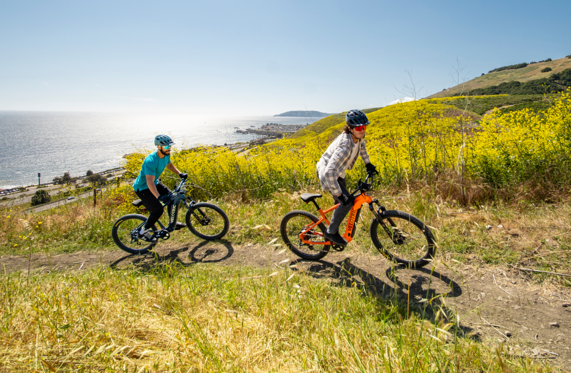 Two riders on Velotric Summit 1 e-bikes on a coastal trail through yellow flowers (Velotric photo) — Zeus eBikes Canada