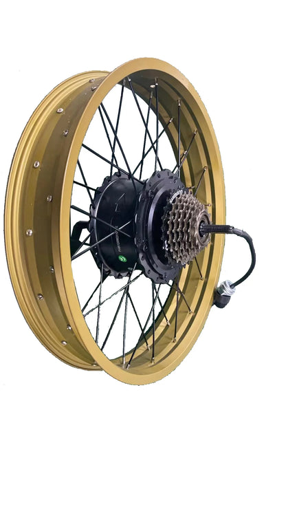 Smartravel ZM22 Hub Motor and Rim