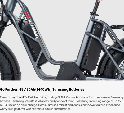 Fucare Gemini Dual Battery 1000W Ebike (Pre-Order, clearing customs now)