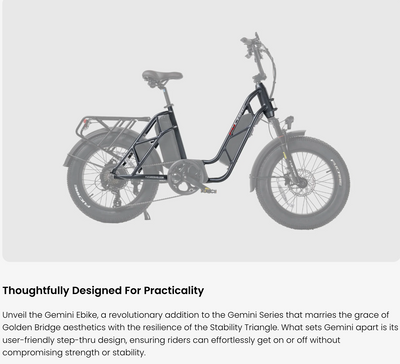 Fucare Gemini Dual Battery 1000W Ebike (Pre-Order, clearing customs now)