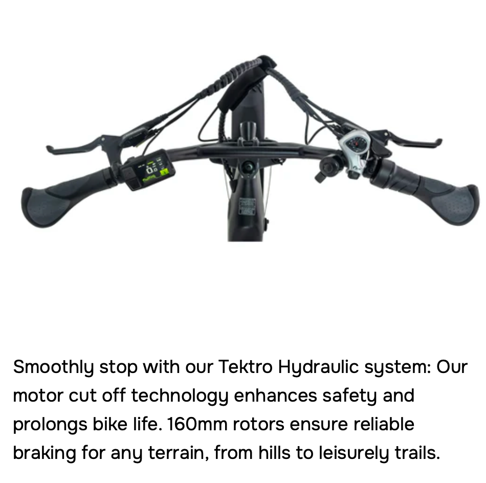 Tempo Commuter Ebike (Canadian)