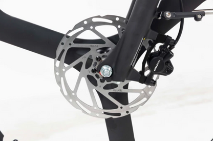 Tempo Commuter Ebike (Canadian)