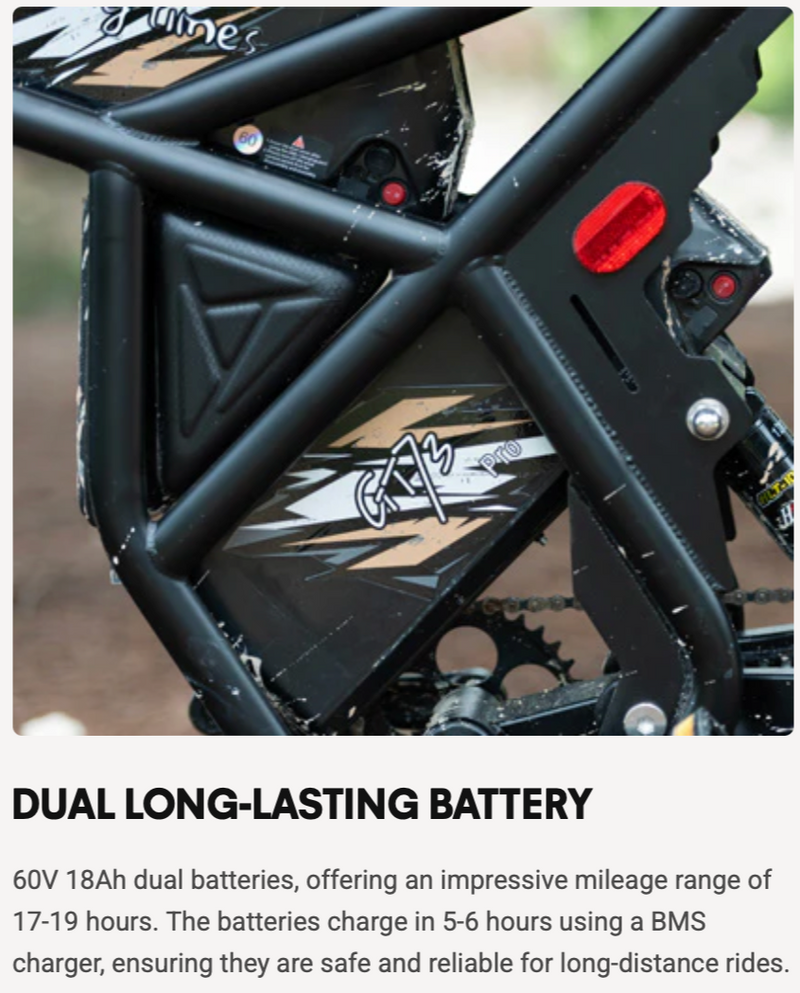 GT73 Pro Electric Motorbike – Zeus Ebikes Canada