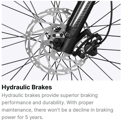 Himiway Cobra D7 Full Suspension Fat-Tire Electric Bike