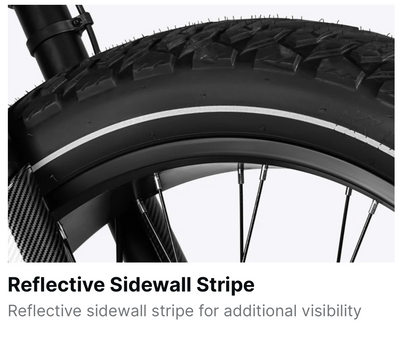 Himiway Cobra D7 Full Suspension Fat-Tire Electric Bike