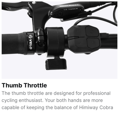 Himiway Cobra D7 Full Suspension Fat-Tire Electric Bike