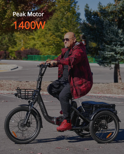 CITYTRI E-310 Electric Trike