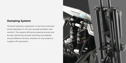 8000W Dual Motor Electric Scooter