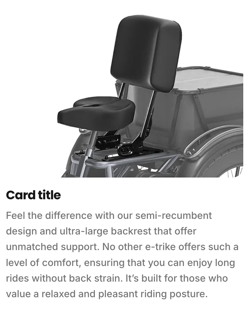 Meet One Tour Dual-Motor Dual-Battery Electric Trike (AWD)