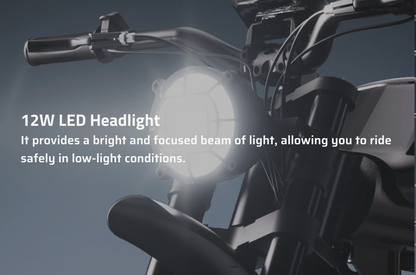 Eahora FT-01 Max 2025 Moped-Style Electric Bike (48V 30Ah, 500W, Hydraulic Brakes)