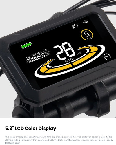 Fucare Gemini X 1000W Dual Battery Ebike (Pre-Order, clearing customs now)