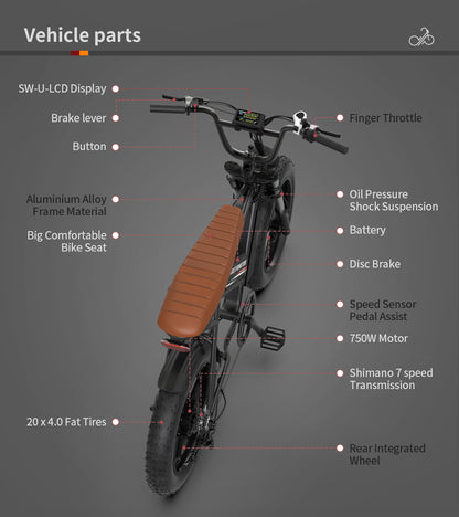 Aostirmotor Storm Fat Tire Retro Ebike