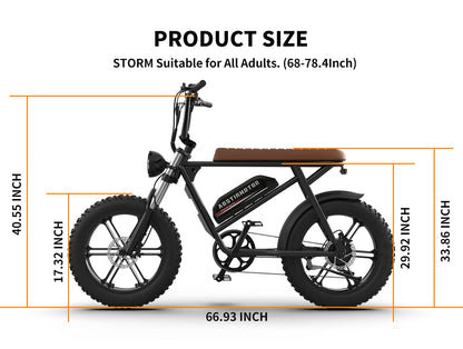 Aostirmotor Storm Fat Tire Retro Ebike