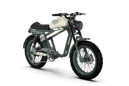 Vtuvia Tiger 750W Retro Ebike