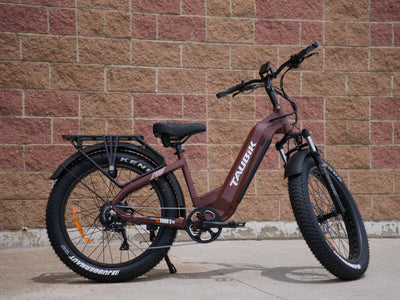 Taubik Tour S in Burnt Copper, side view beside a brick wall, Taubik photo