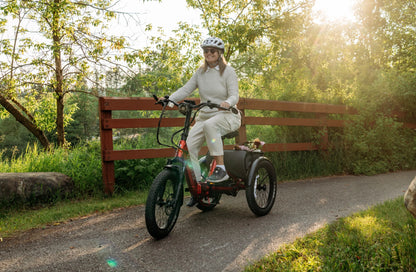 Velotric Triker Electric Tricycle (750W, Folding, 500 lb Payload)