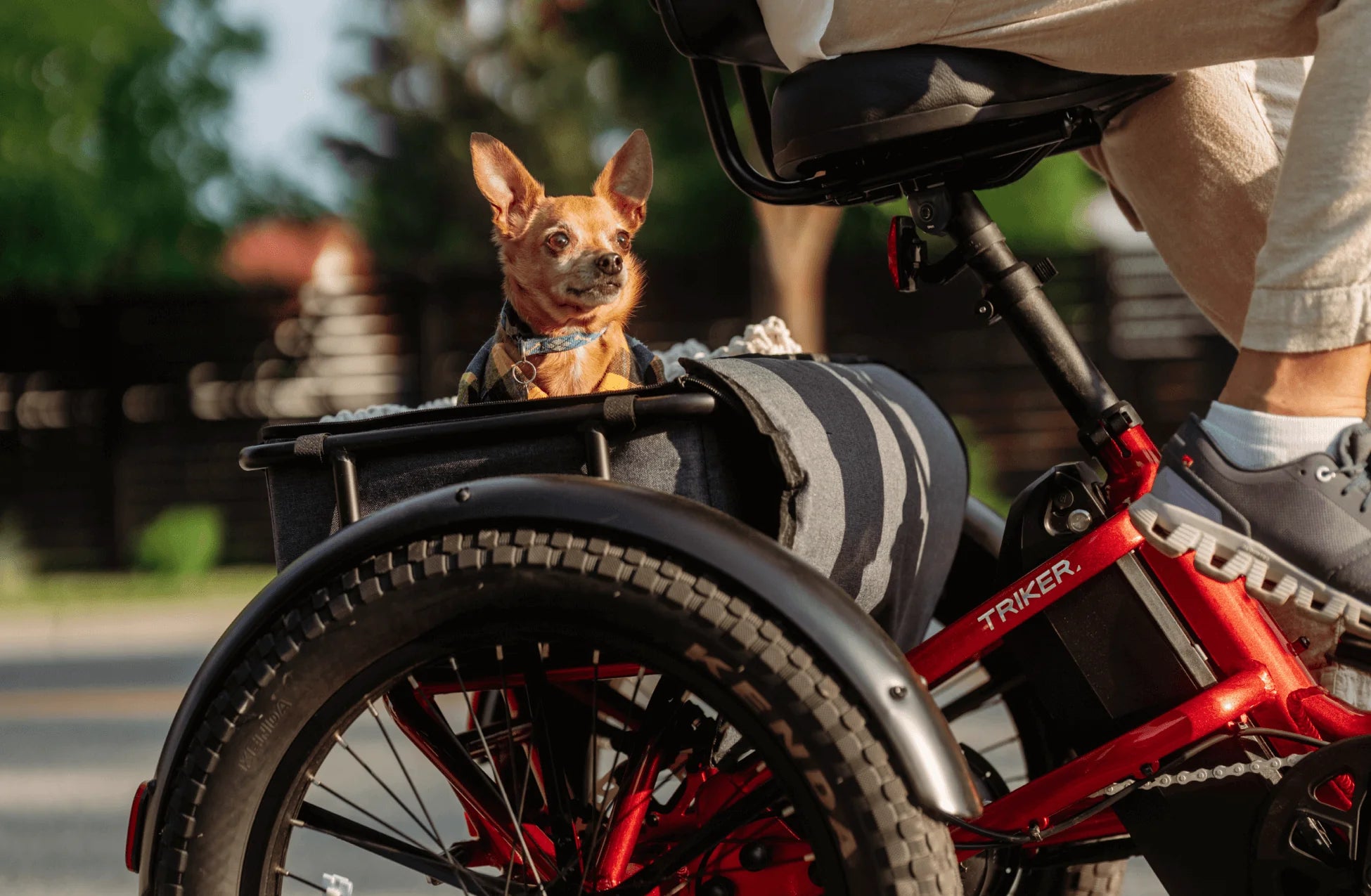 Velotric Triker Electric Tricycle (750W, Folding, 500 lb Payload)