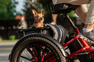 Velotric Triker Electric Tricycle (750W, Folding, 500 lb Payload)