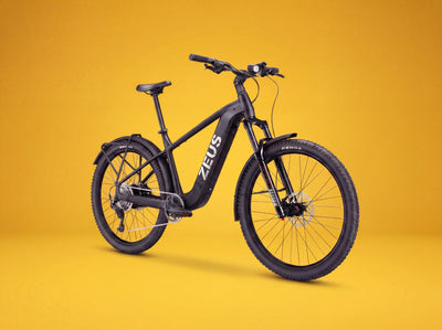 Zeus Wolverine Electric Hardtail