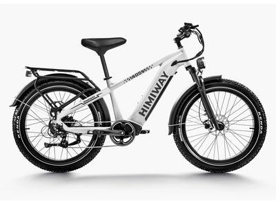 Himiway Zebra D5 Updated Version