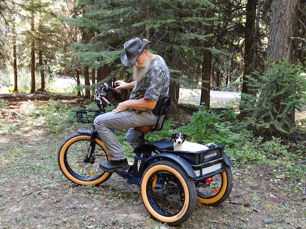 Rider on an Addmotor Grandtan X in Neptune Blue in a forest clearing, with a small dog riding behind the seat (Addmotor photo) — Zeus eBikes Canada