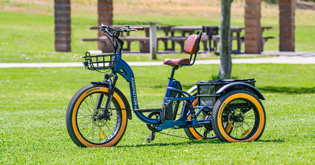 Addmotor Grandtan X in Neptune Blue on a park lawn, side view showing both rear wheels and the rear basket and bag (Addmotor photo) — Zeus eBikes Canada