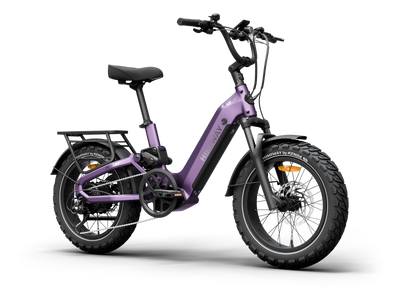 Himiway D5 2.0 20" Full Suspension Fat Tire eBike