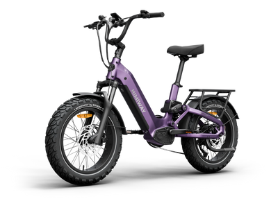 Himiway D5 2.0 20" Full Suspension Fat Tire eBike