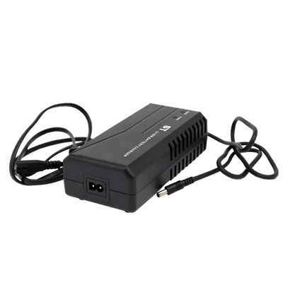 Aostirmotor S18 Charger