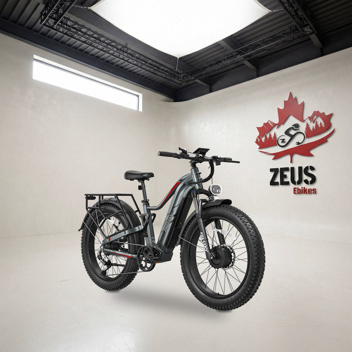 Freesky Eurostar Turbo M-410 in Gray, front three-quarter view: Freesky's own product photo of the bike, set in the Zeus eBikes studio