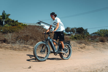 Himiway Big Dog Cargo Ebike