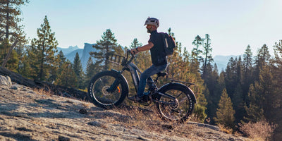 Himiway D5 2.0 ST Full Suspension Step-Thru Fat Tire eBike