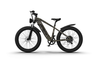 Aostirmotor Hero 1000W Ebike