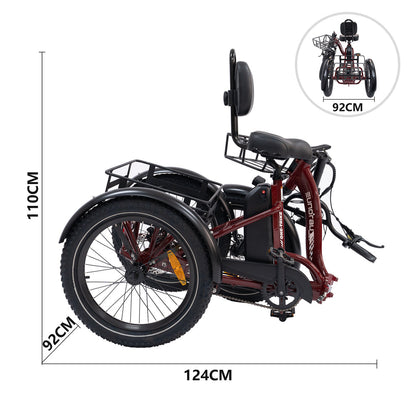 ONE-TRIKE 500W Electric tricycle