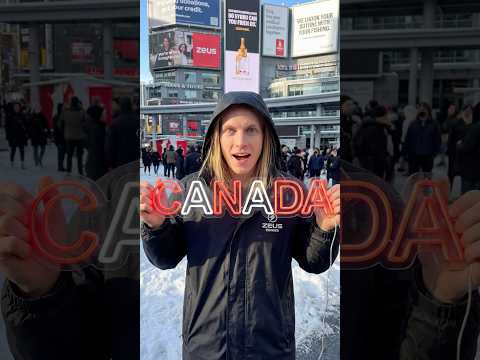 Z8 Moped-Style Electric Bike (Z8 / Z8S / Z8 Pro)