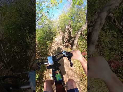 Ridstar Q20 — 1500W Fat Tire Retro eBike (48V 20Ah, Full Suspension)