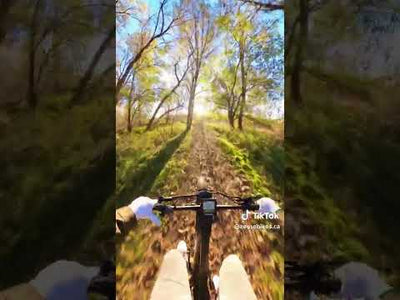 Himiway Cobra D7 Full Suspension Fat-Tire Electric Bike