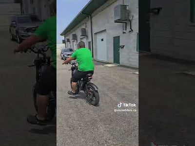 Ridstar Q20 Pro Dual Motor 2000W Retro Ebike