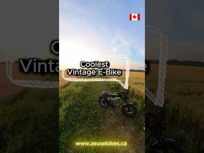 Vtuvia TIGER PLUS Full Suspension Fat Tire Ebike