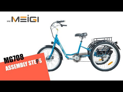 Meigi Hera Electric Trike