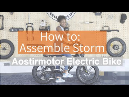 Aostirmotor Storm Fat Tire Retro Ebike