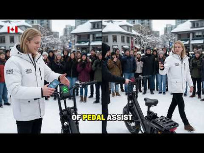 TESWAY X5 AWD Dual Motor Step-Thru Electric Bike (52V 60Ah, 3600W Peak)