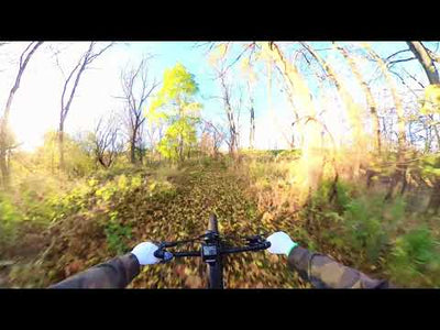 Himiway Cobra D7 Full Suspension Fat-Tire Electric Bike