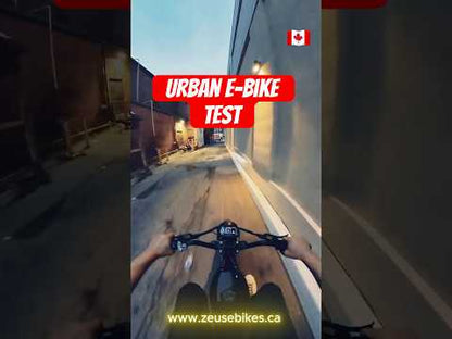 Vtuvia Tiger Retro Ebike