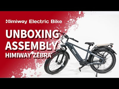 Himiway Zebra D5 Updated Version