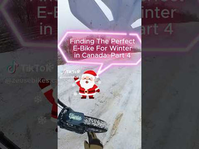 Vtuvia TIGER PLUS Full Suspension Fat Tire Ebike