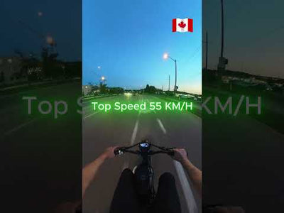 Vtuvia TIGER PLUS Full Suspension Fat Tire Ebike