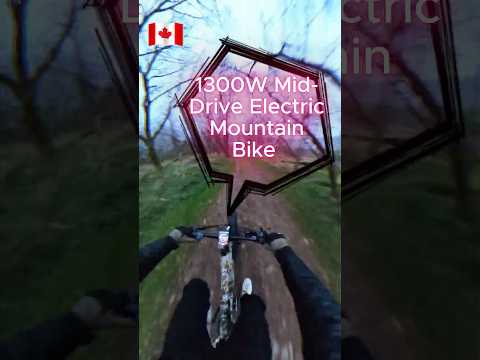 Himiway Cobra Pro Mid Motor Mountain Ebike