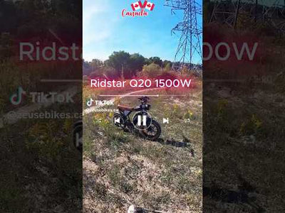 Ridstar Q20 — 1500W Fat Tire Retro eBike (48V 20Ah, Full Suspension)